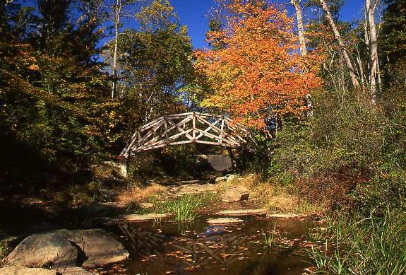 Bridge in the middle of a park | Prince William National Forest Park